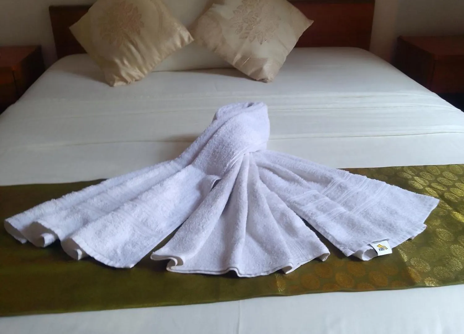 Steur Villa Negombo Homestay