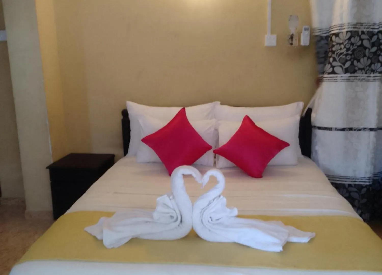 Steur Villa Negombo